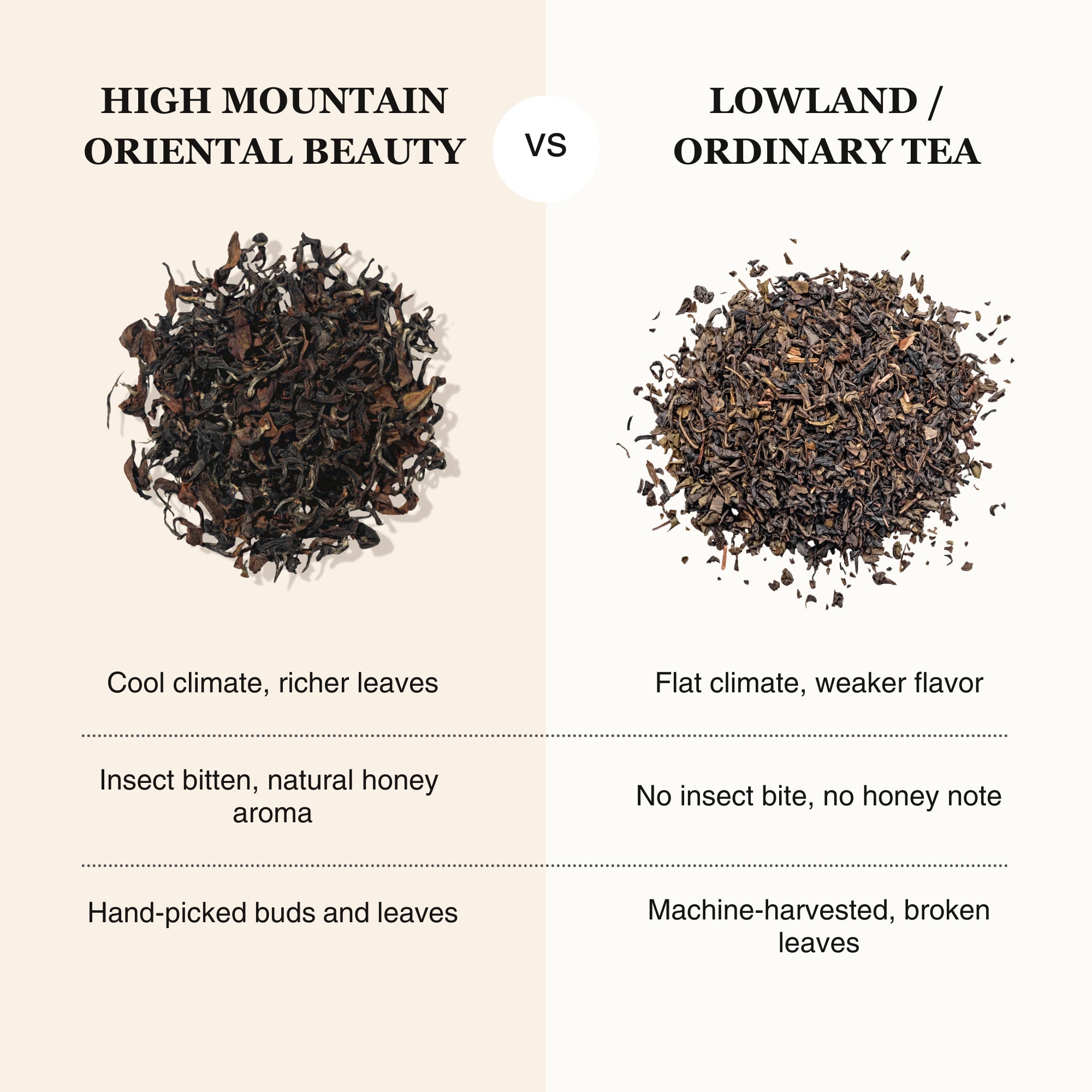 Oriental Beauty Oolong Tea β 50g/1.8oz