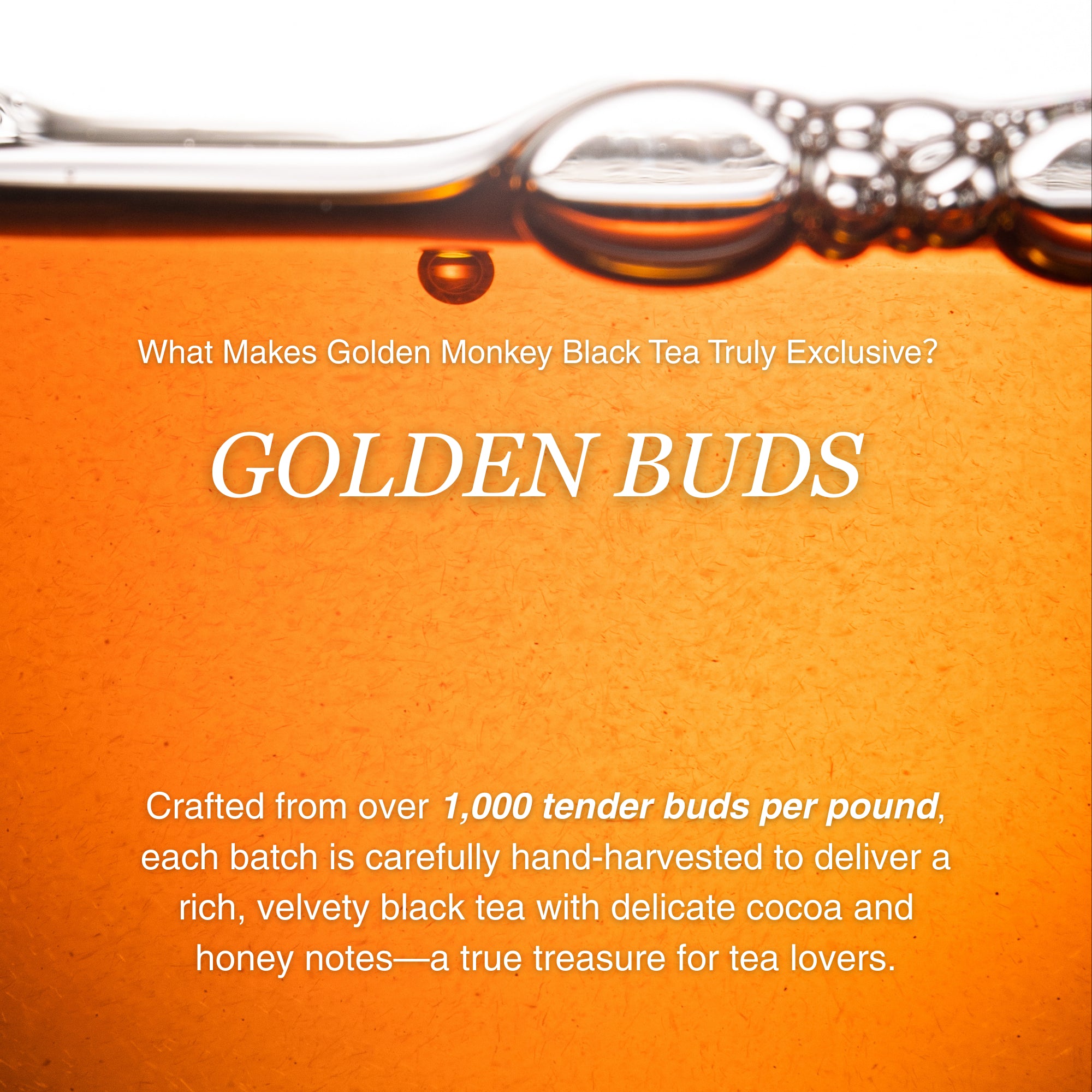 Golden Monkey Black Tea β 50g/1.8oz