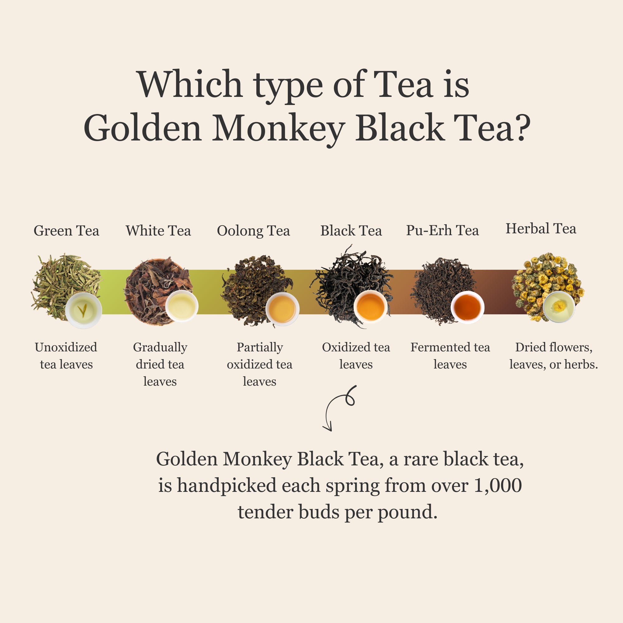 Golden Monkey Black Tea β 50g/1.8oz