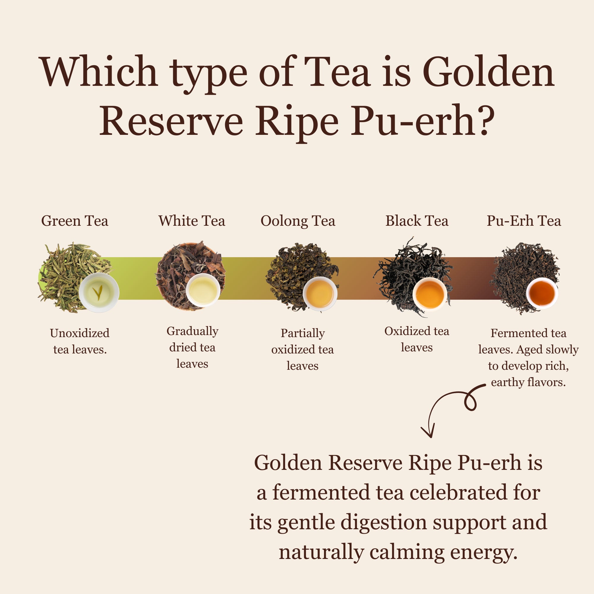 Golden Reserve Ripe Pu–erh – 50g / 1.8oz