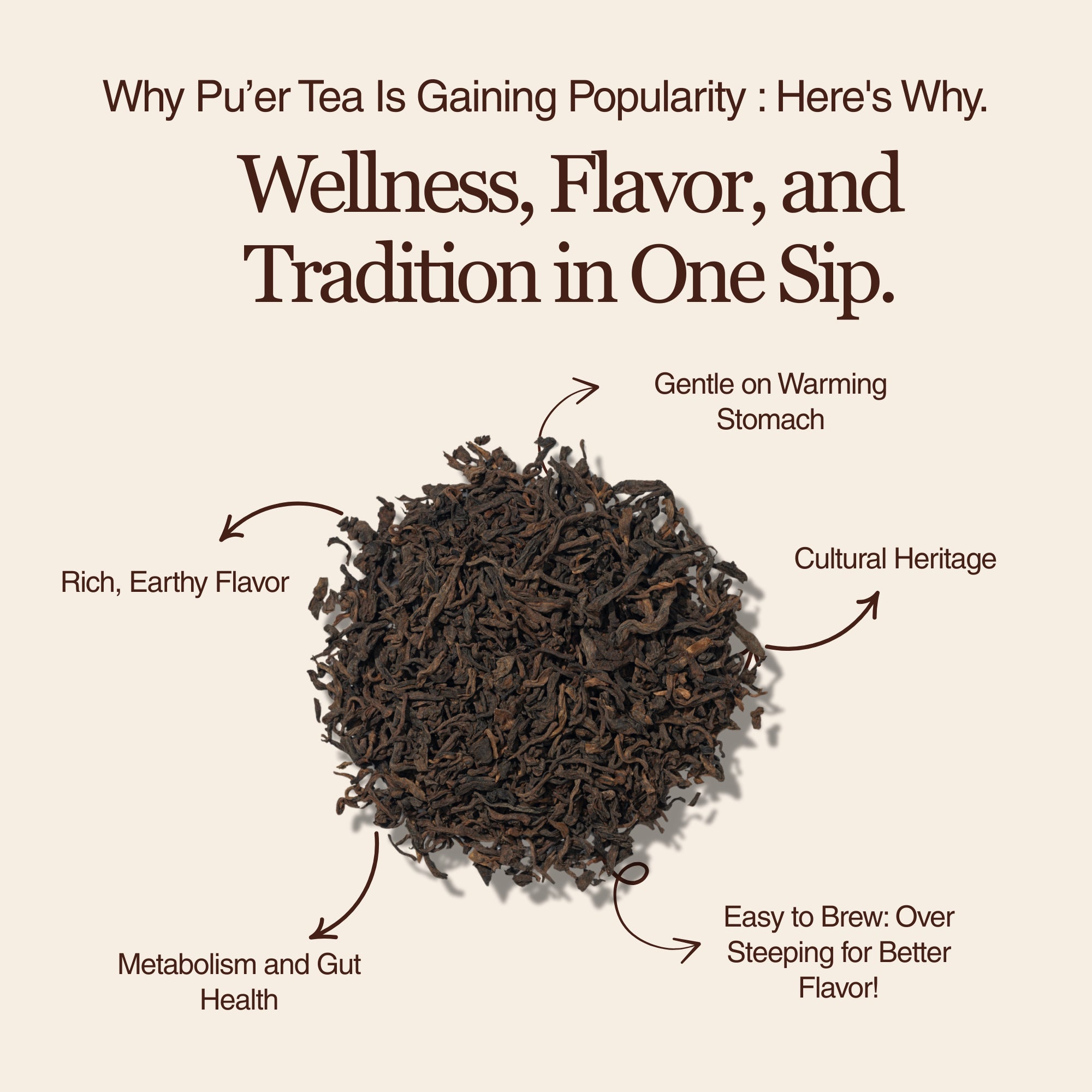 Golden Reserve Ripe Pu–erh – 50g / 1.8oz