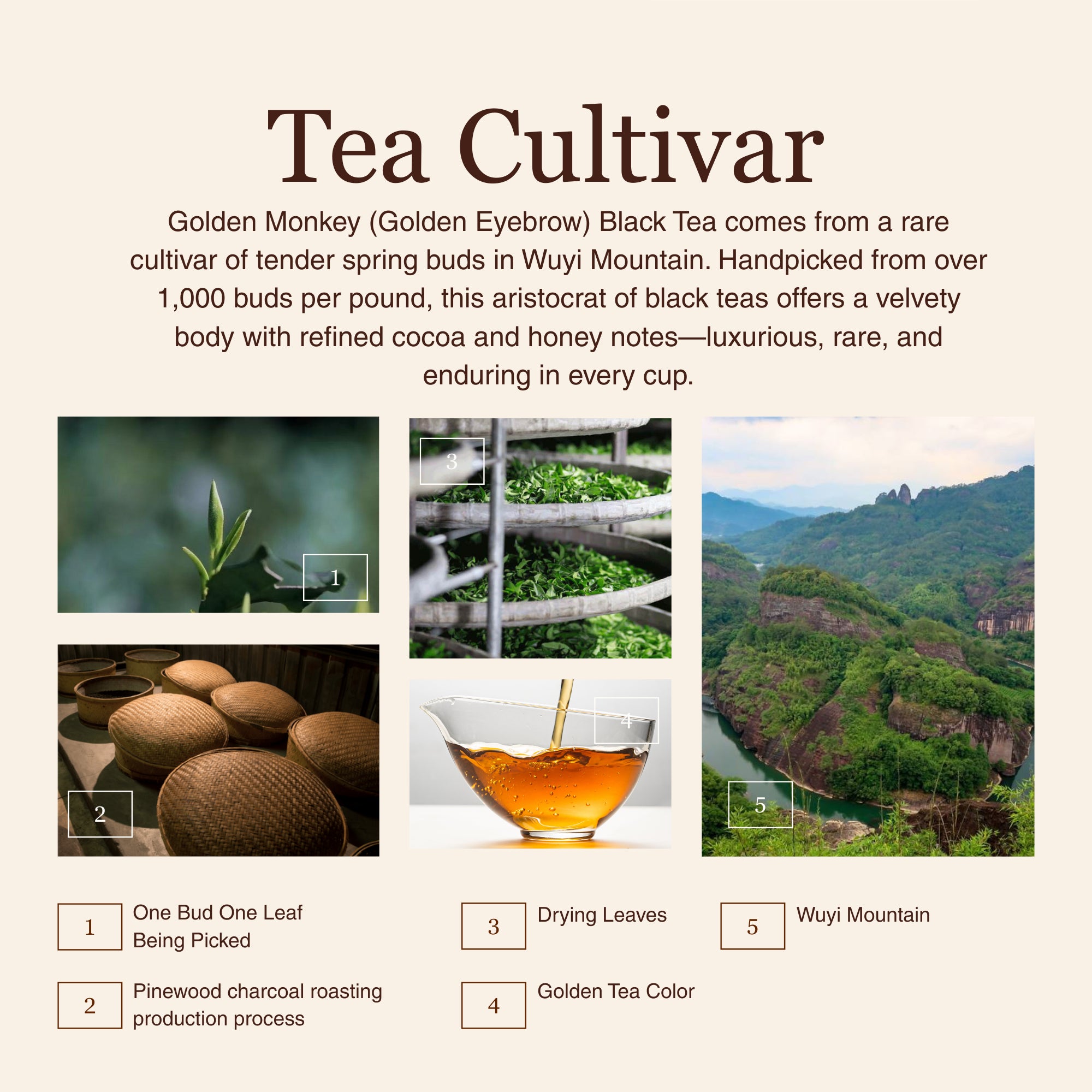 Golden Monkey Black Tea β 50g/1.8oz