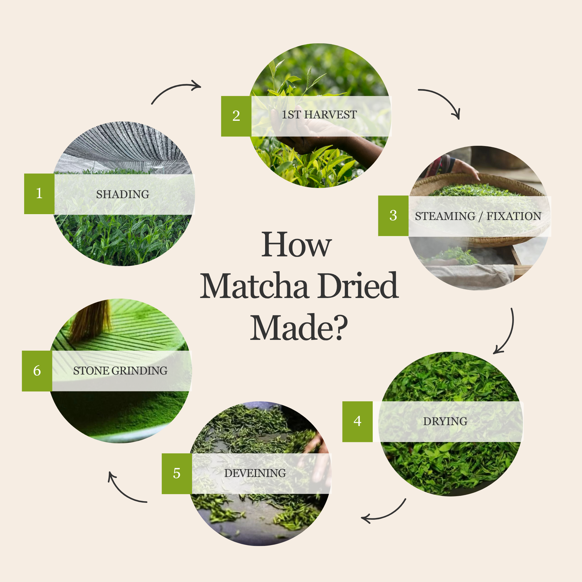 Jade Reserve Ceremonial Matcha