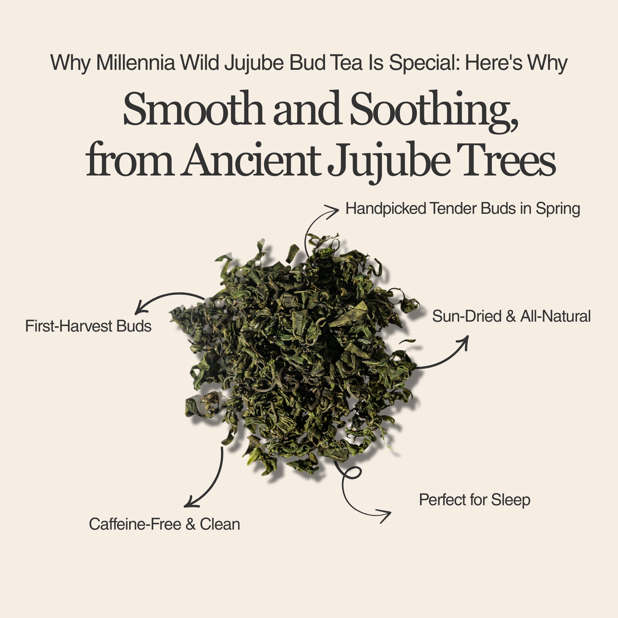 Millennia Wild Jujube Bud Herbal Tea β 50g/1.8oz