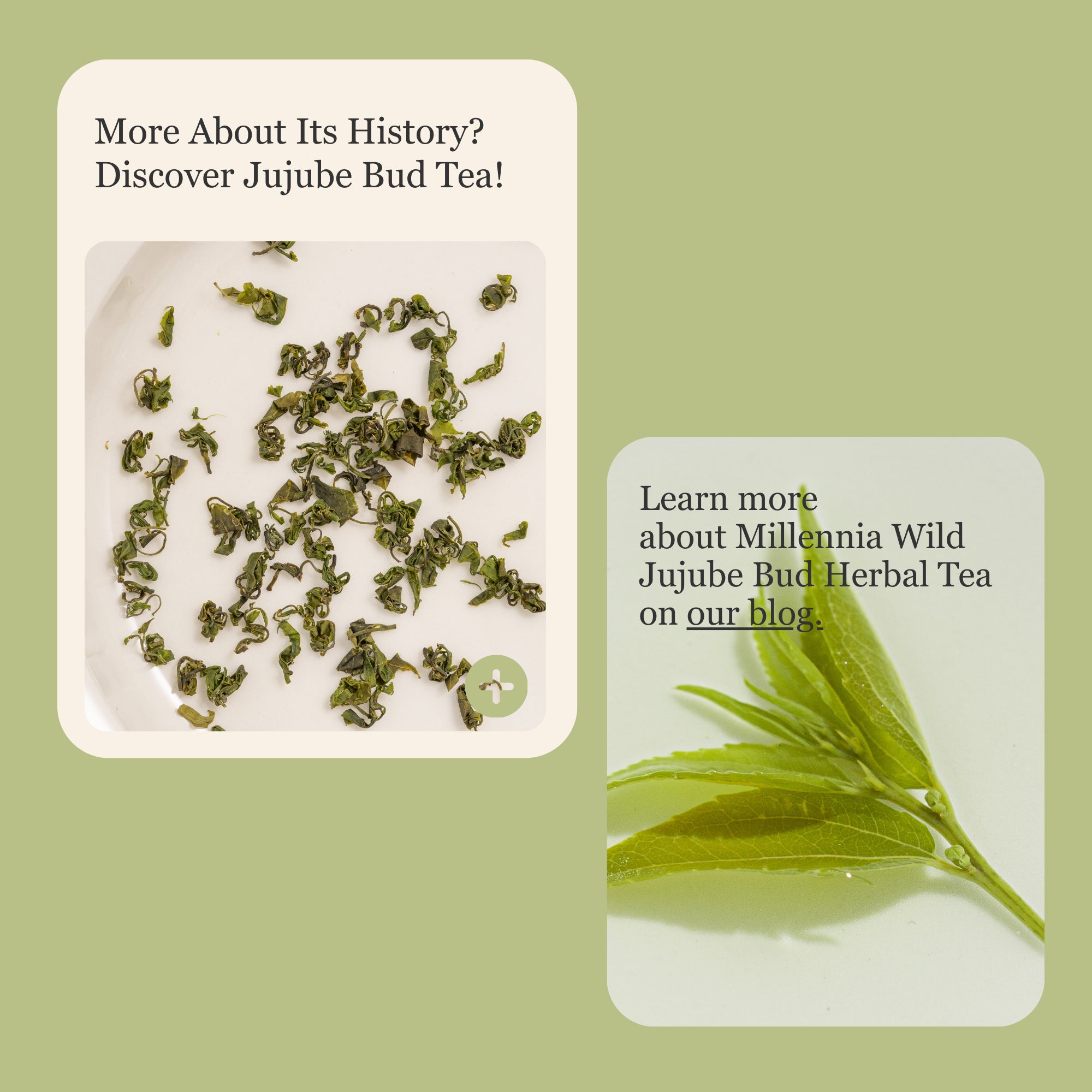Millennia Wild Jujube Bud Herbal Tea β 50g/1.8oz