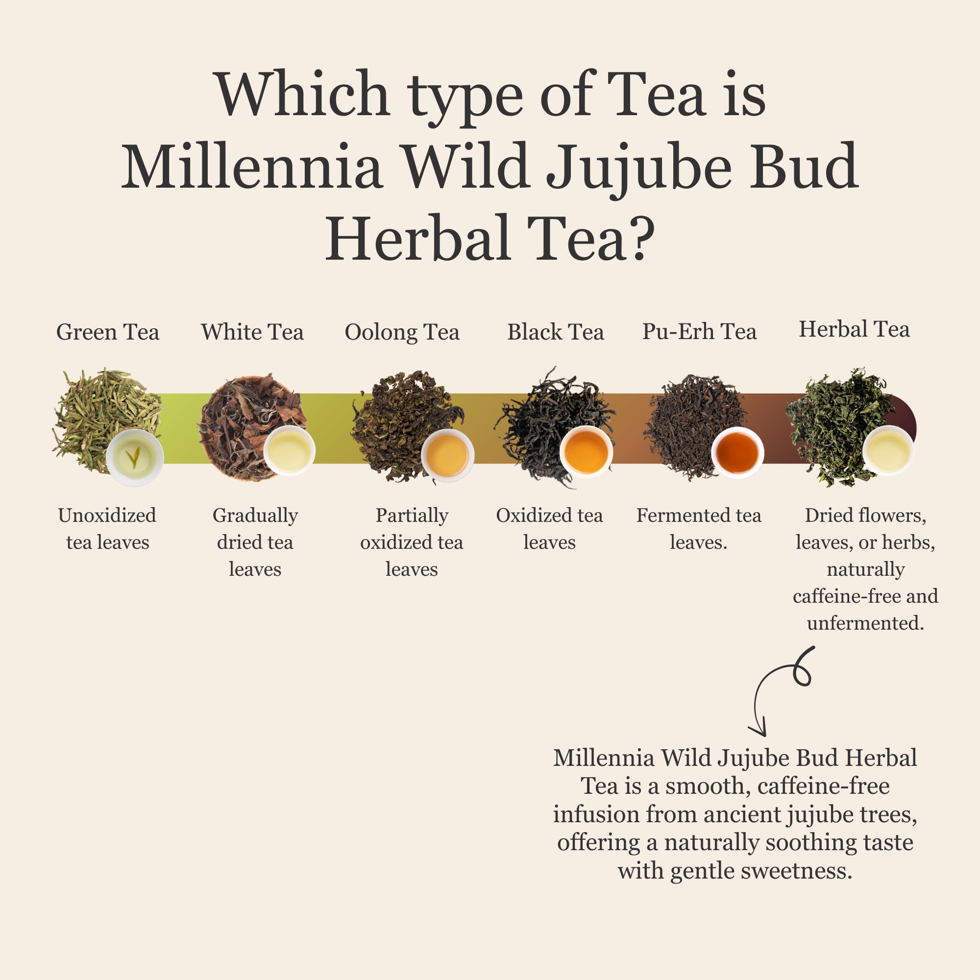 Millennia Wild Jujube Bud Herbal Tea β 50g/1.8oz