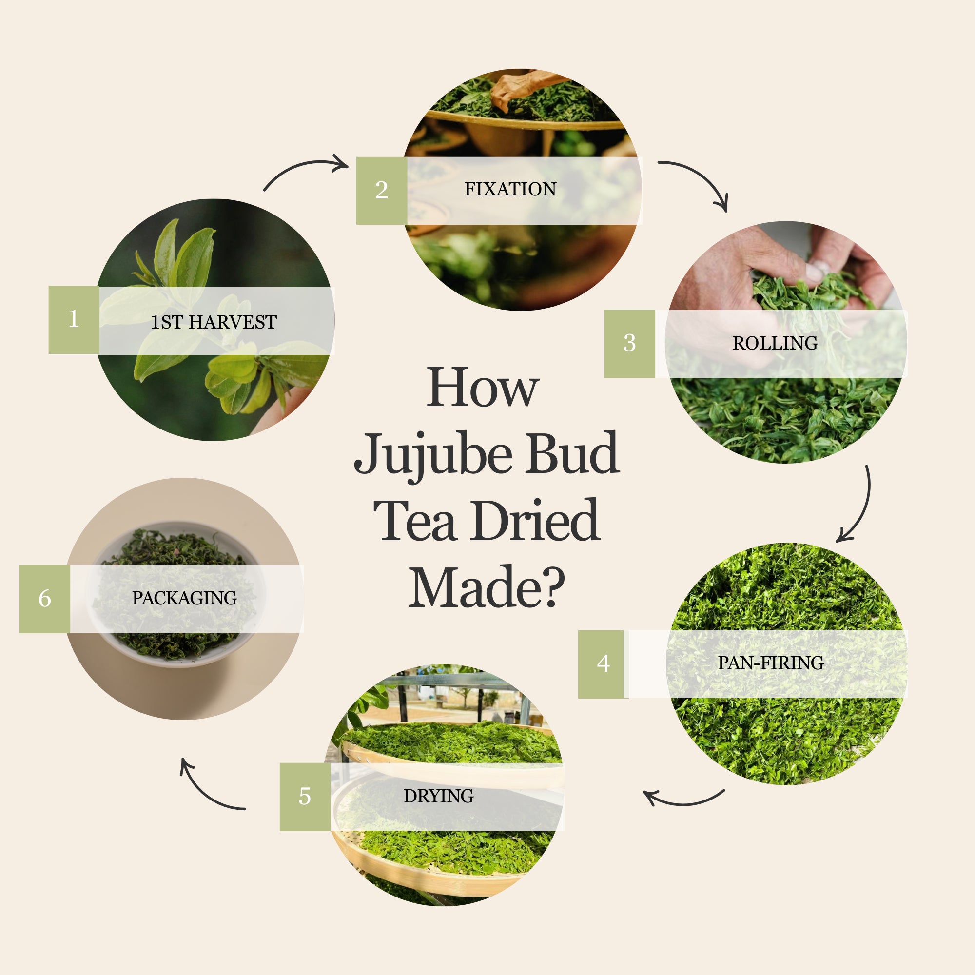 Millennia Wild Jujube Bud Herbal Tea β 50g/1.8oz