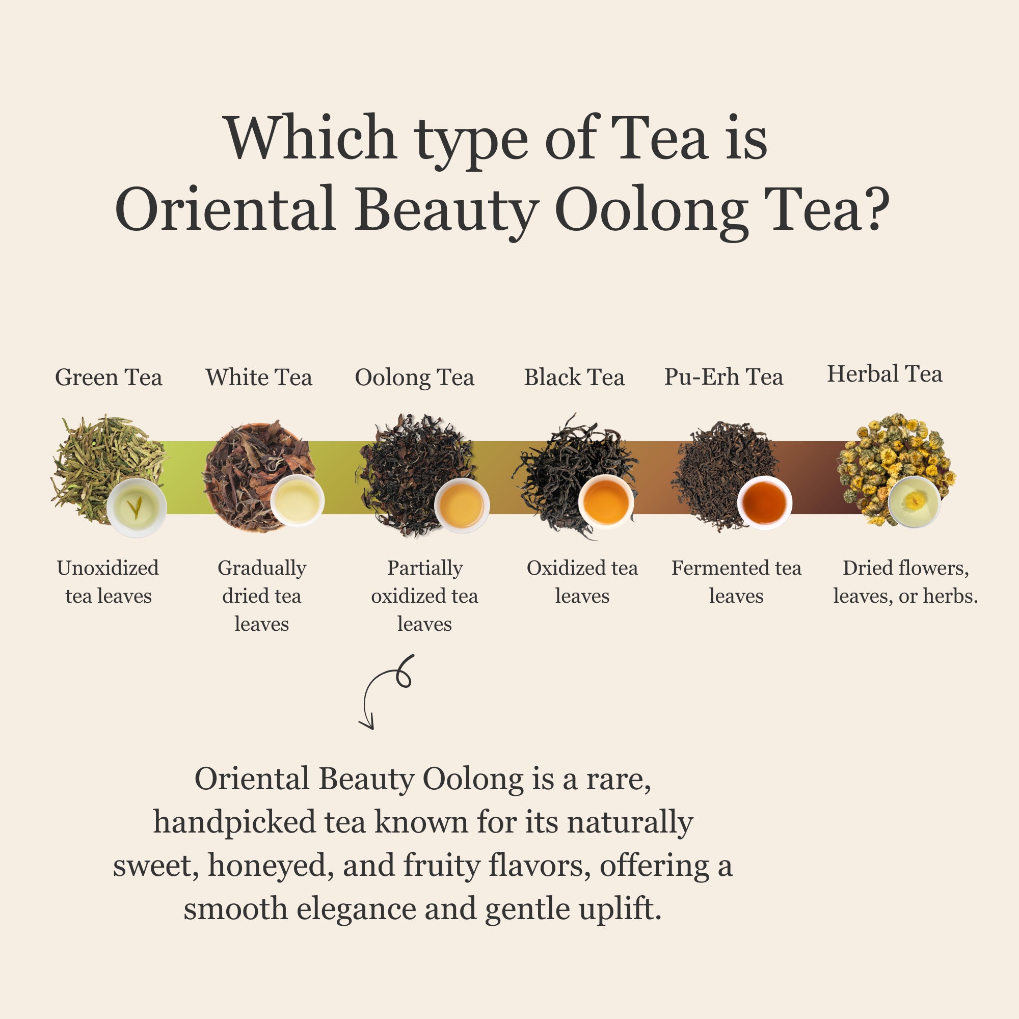 Oriental Beauty Oolong Tea β 50g/1.8oz