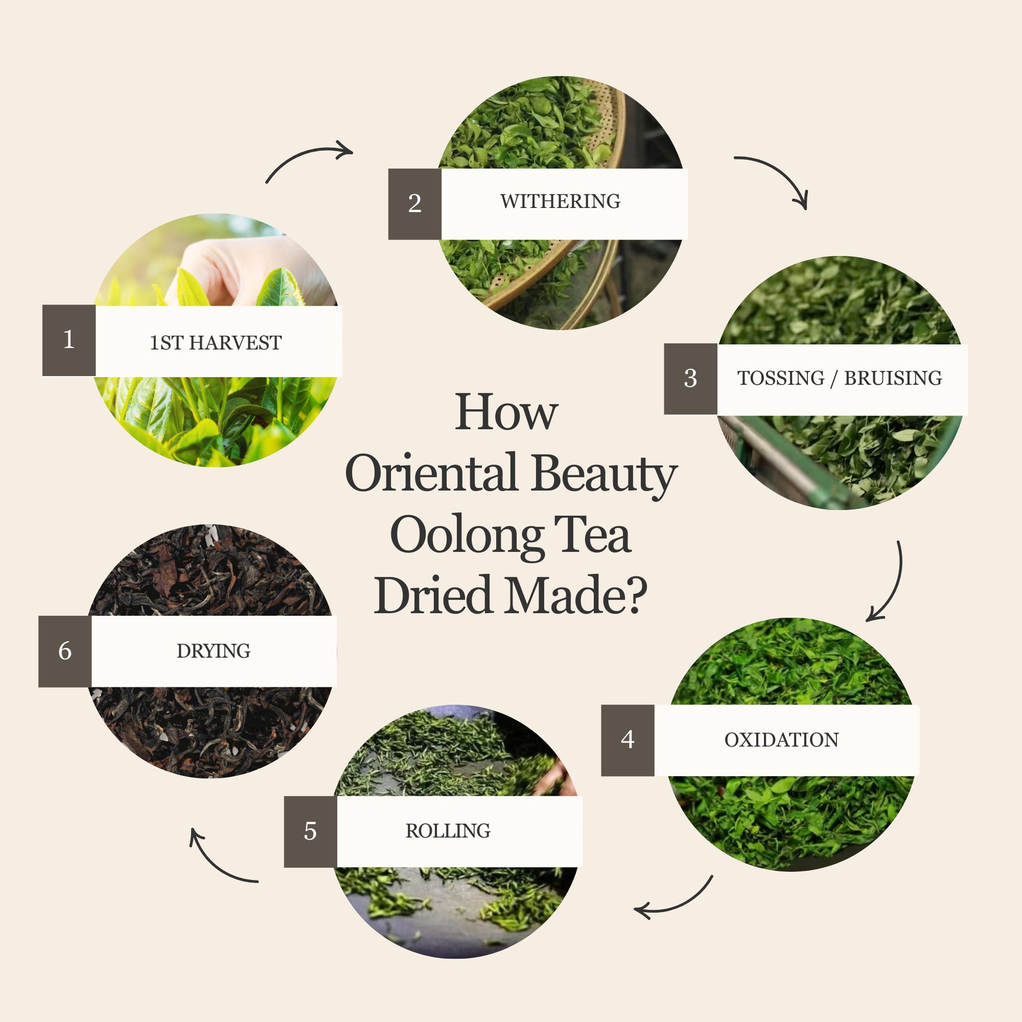 Oriental Beauty Oolong Tea β 50g/1.8oz