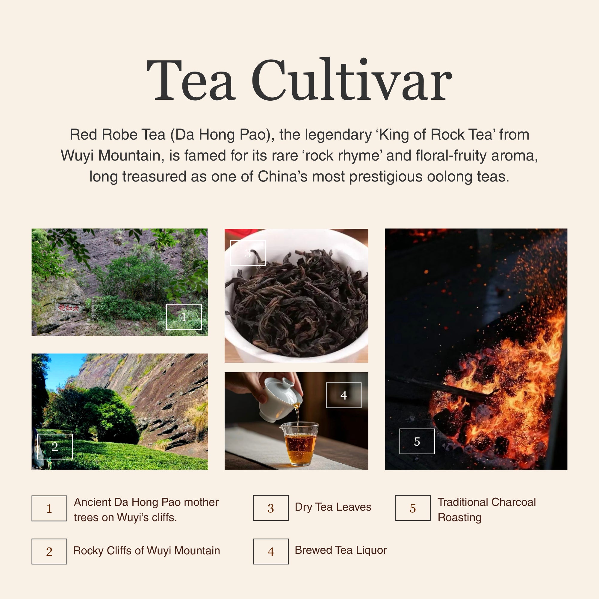 Da Hong Pao (Red Robe Tea) β 50g/1.8oz