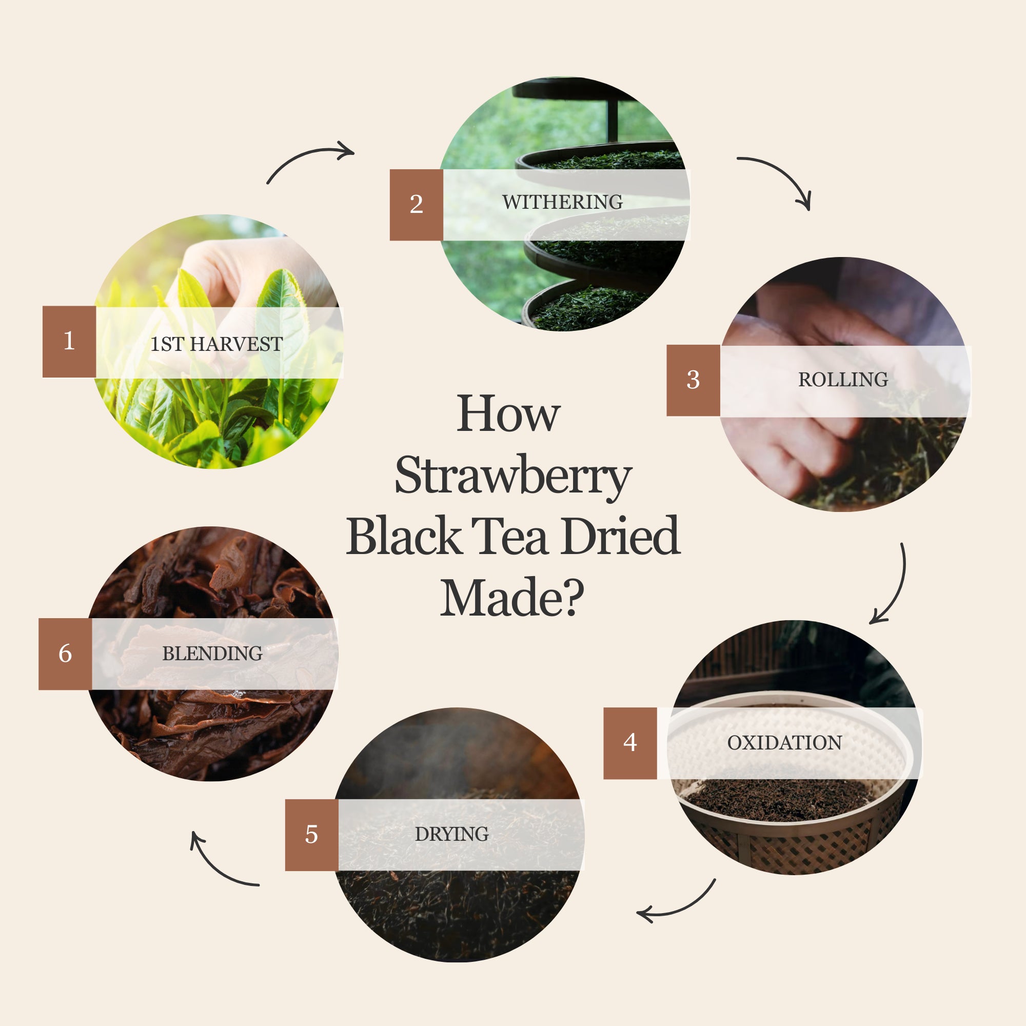 Strawberry Black Tea