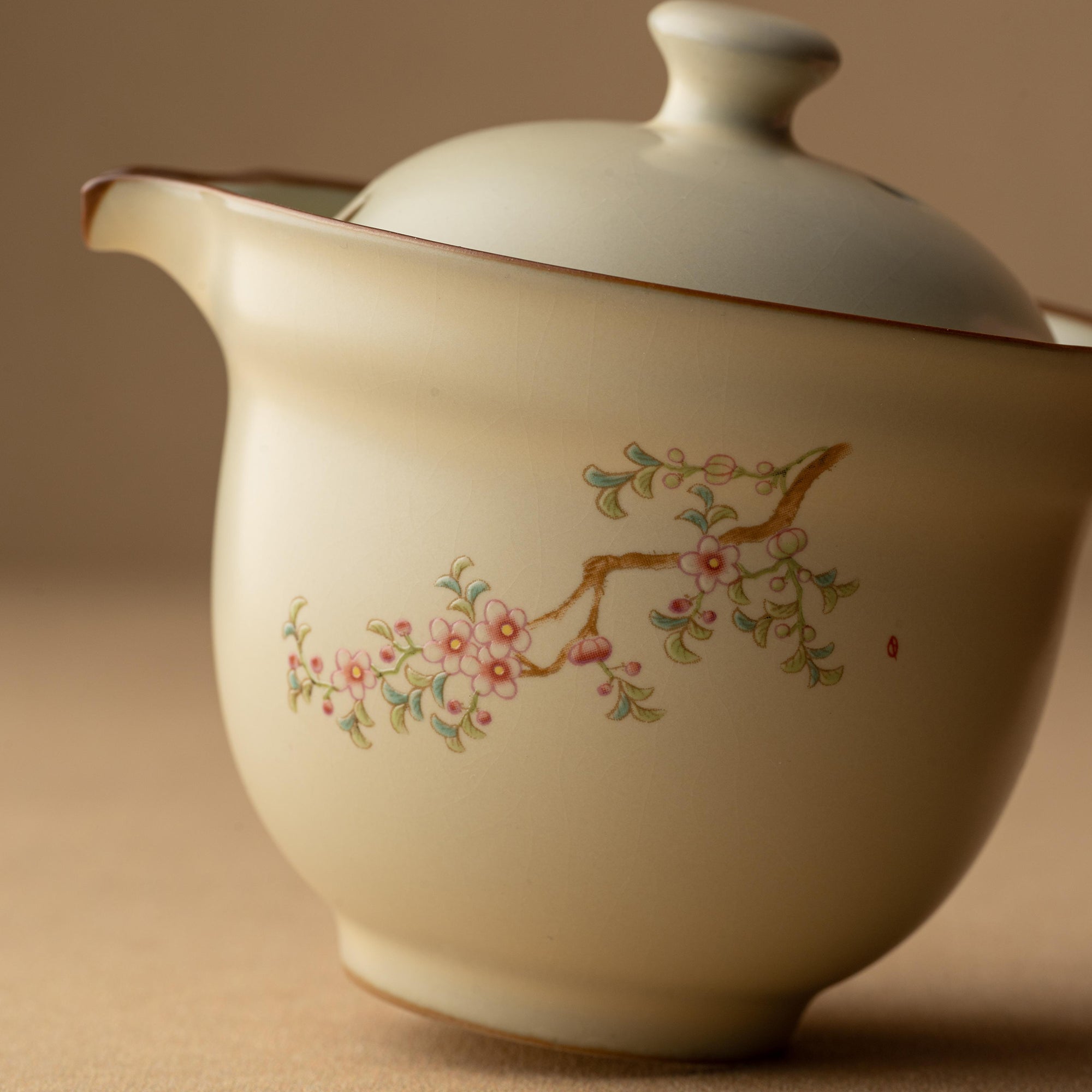 Portable Ceramic Gongfu Travel Tea Set | 1 Pot, 3 Cups & Travel Case
