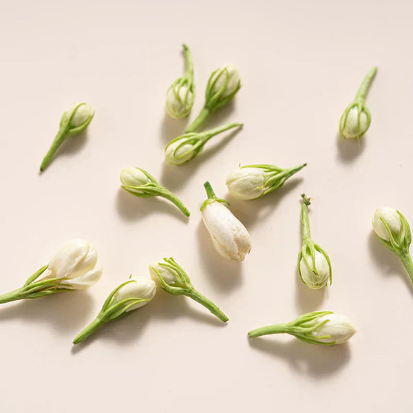 Ceremonial Grade Jasmine Tea: Artisan Making Process