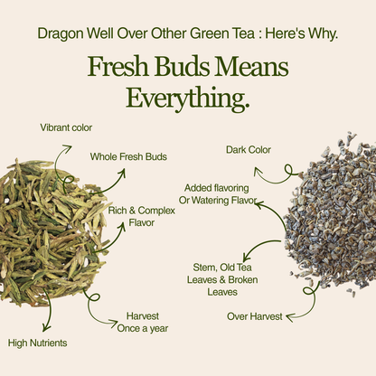 Imperial Dragon Well – 2025 Championship Tea WINNER