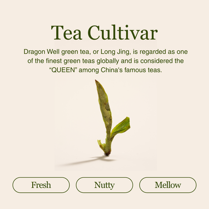 Imperial Dragon Well – 2025 Championship Tea WINNER