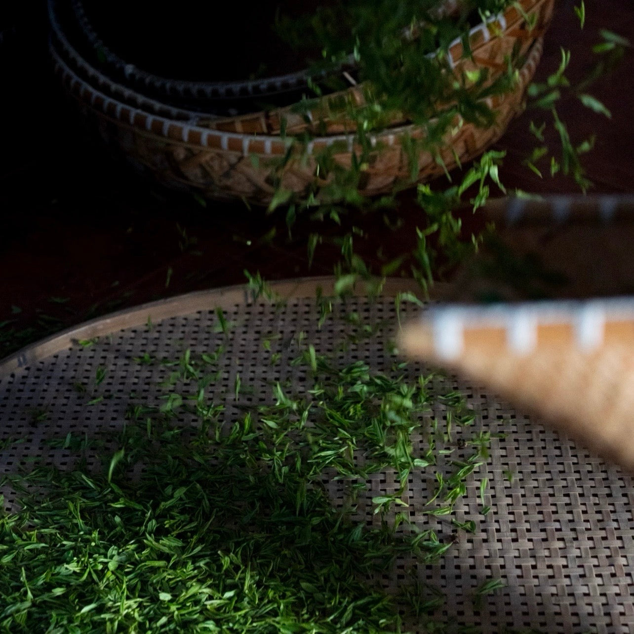 Tea Image