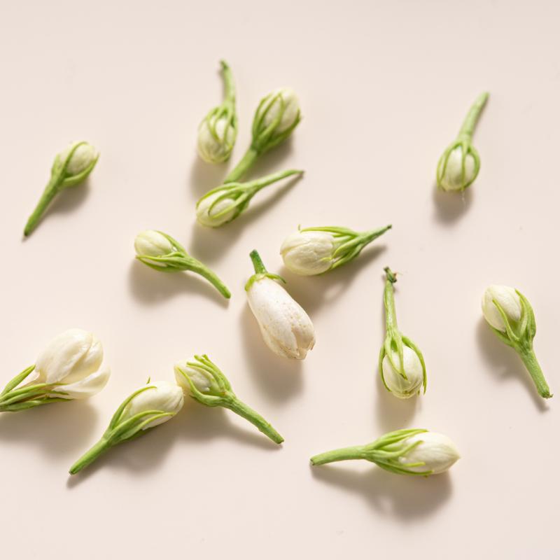 White jasmine flowers and green buds on a light beige background