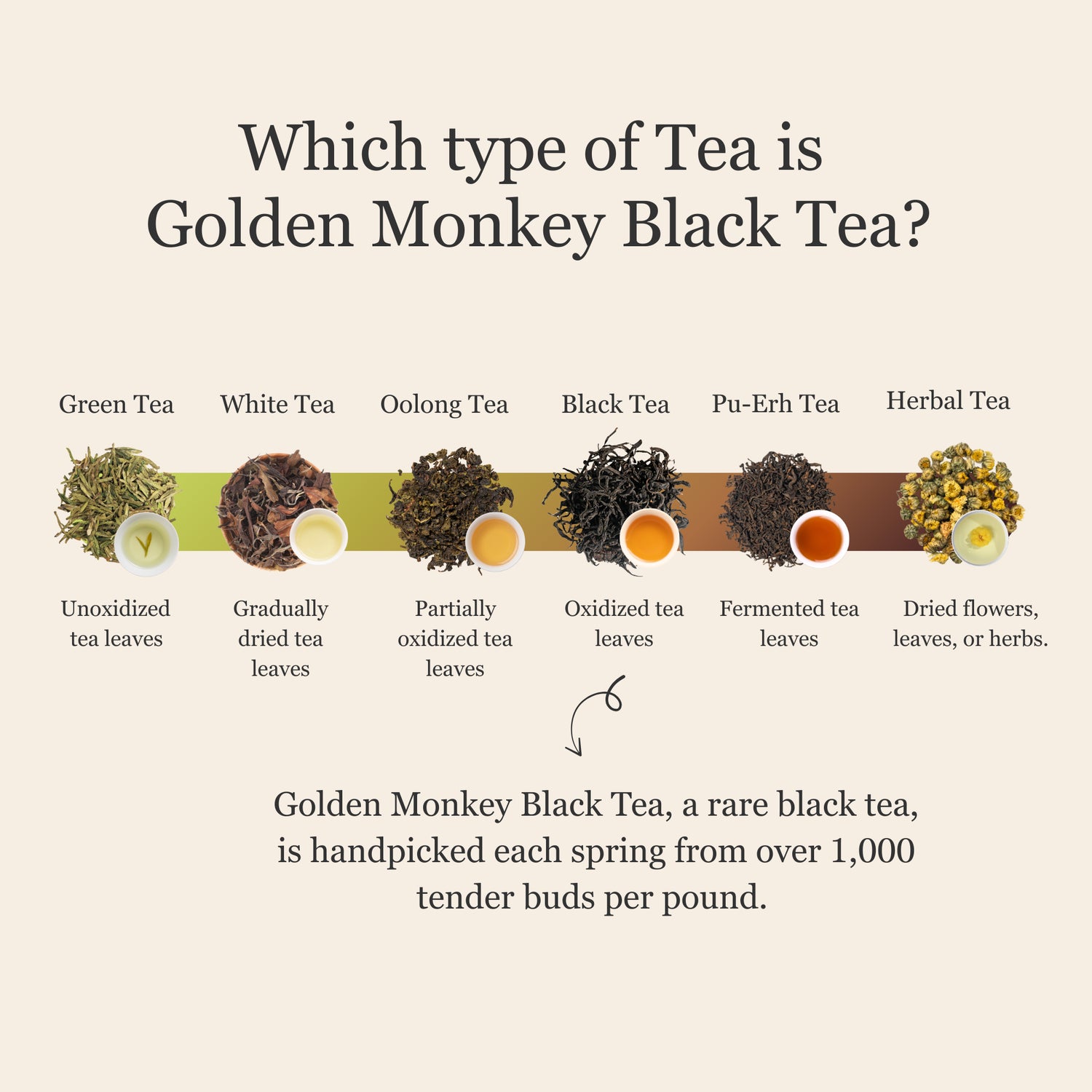 Golden Monkey Black Tea – 50g/1.8oz