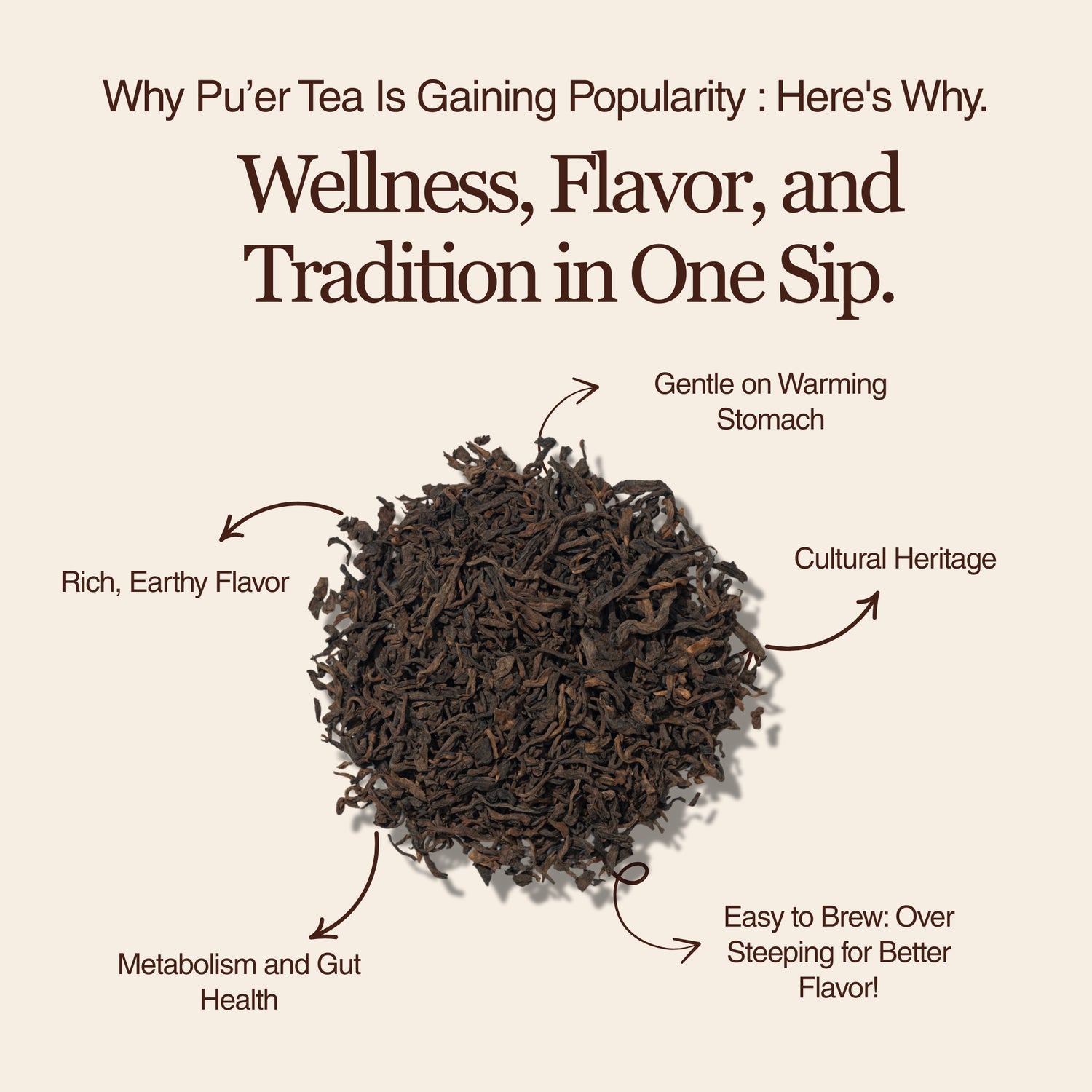 Golden Reserve Ripe Pu–erh – 50g / 1.8oz