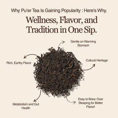 Golden Reserve Ripe Pu–erh – 50g / 1.8oz