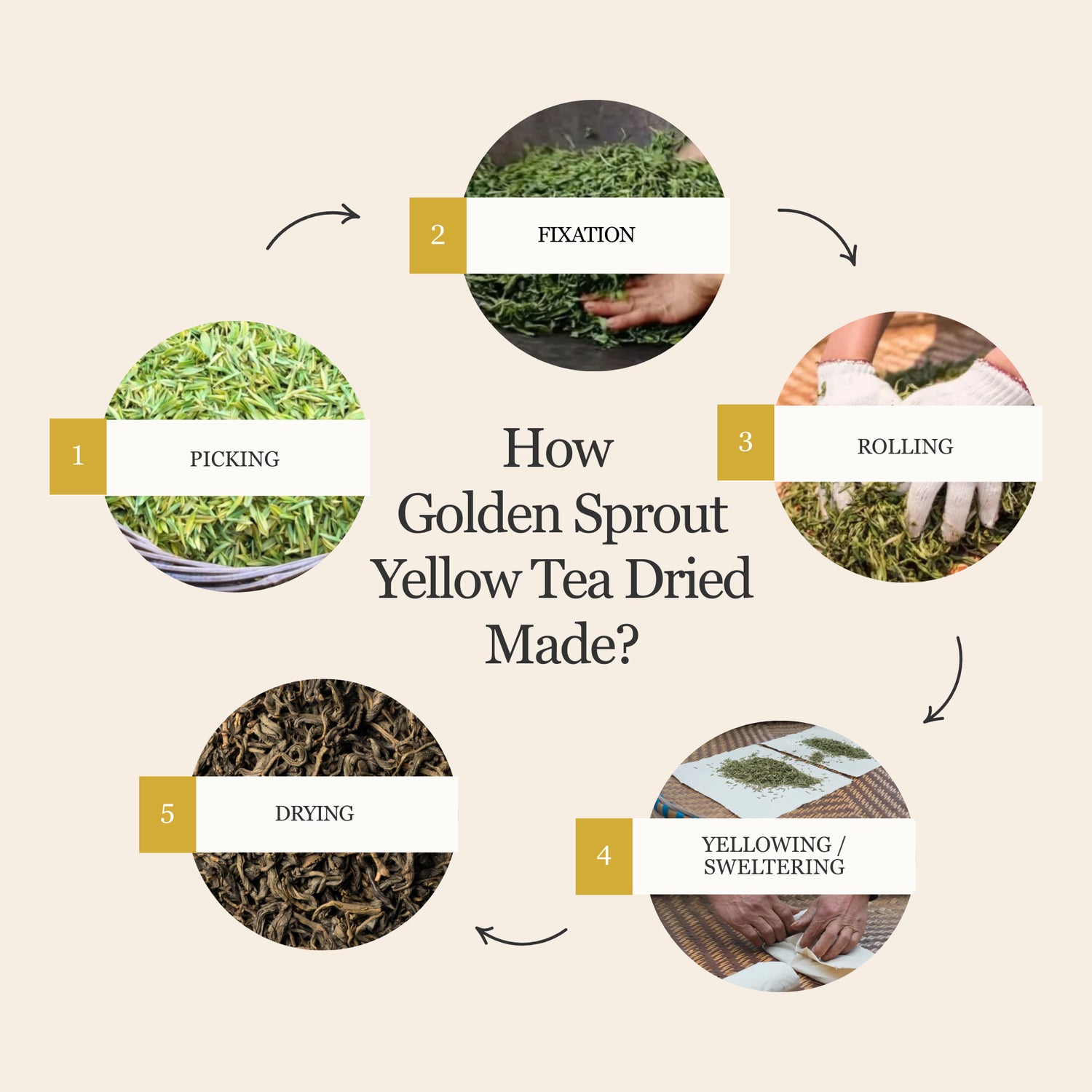 Golden Sprout Yellow Tea