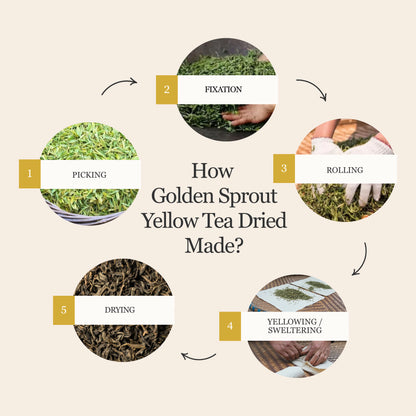 Golden Sprout Yellow Tea