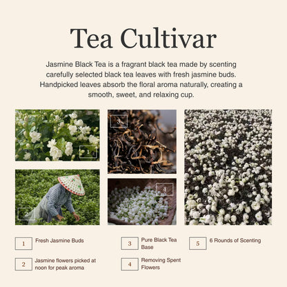 Jasmine Black Tea