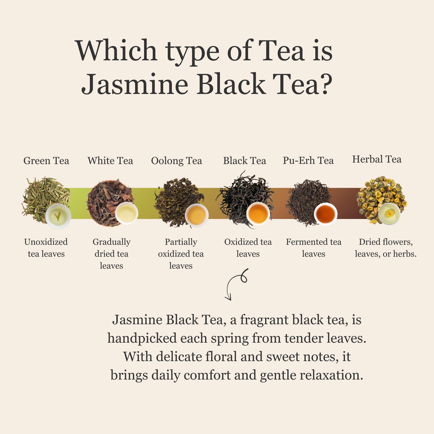 Jasmine Black Tea
