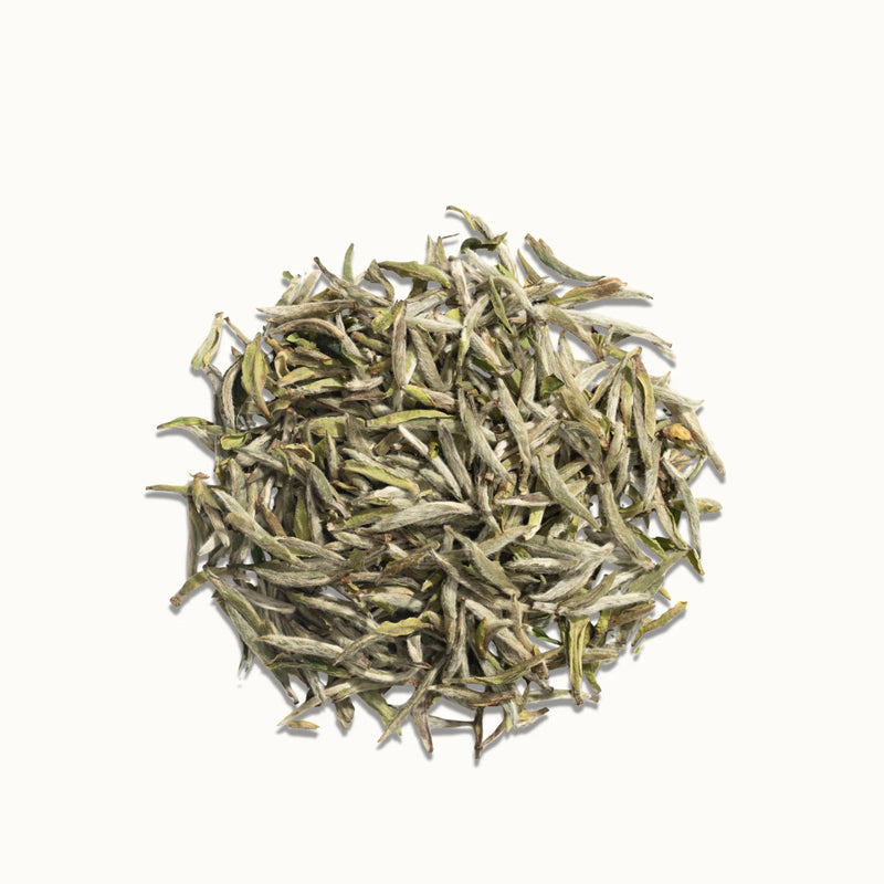 Silver Needle White Tea