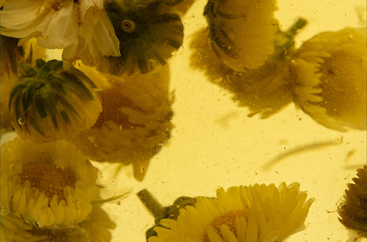 Second image