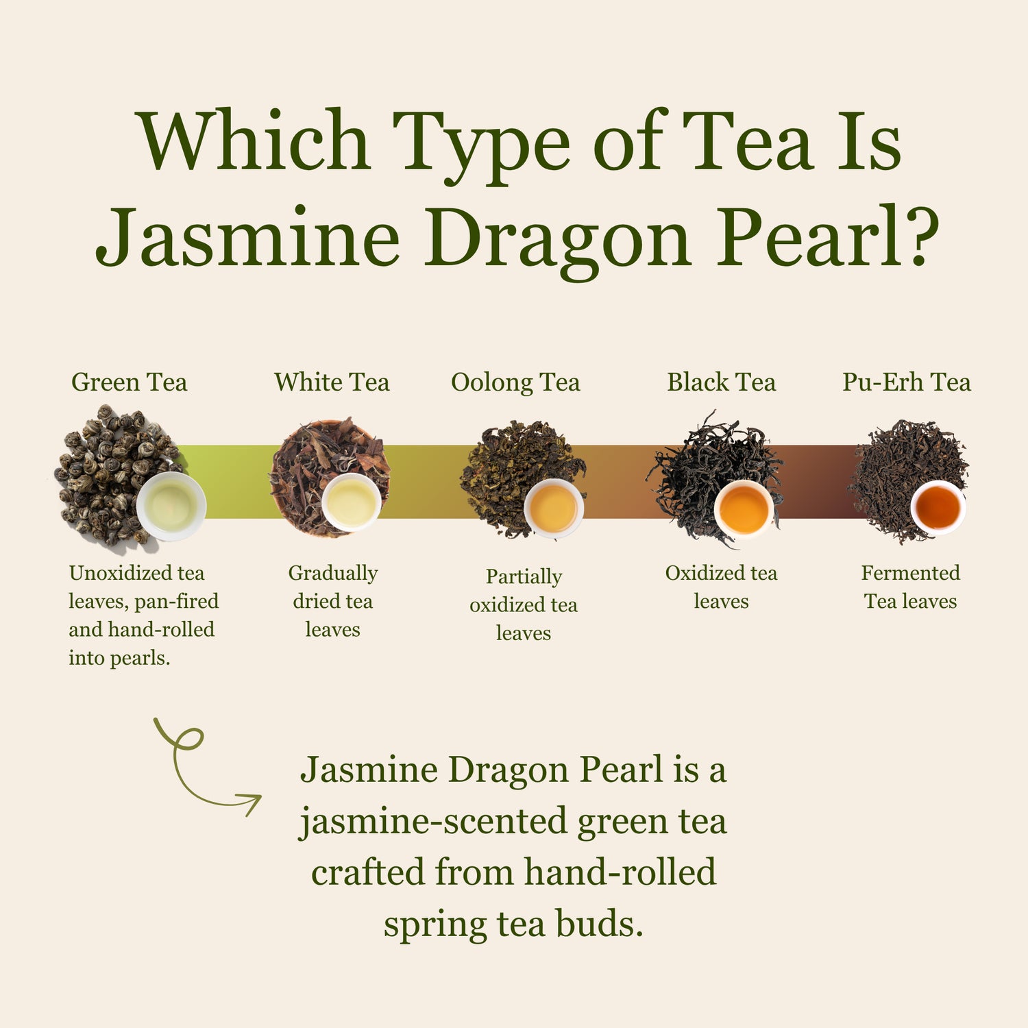 Jasmine Dragon Pearl