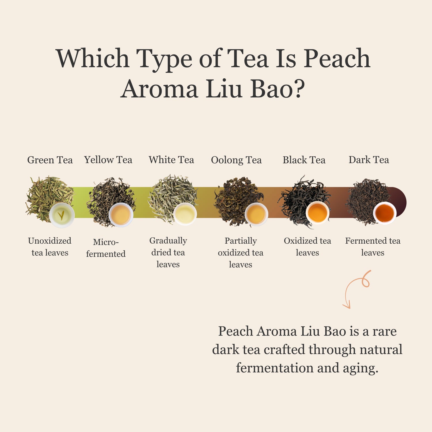 Peach Aroma Liu Bao Dark Tea