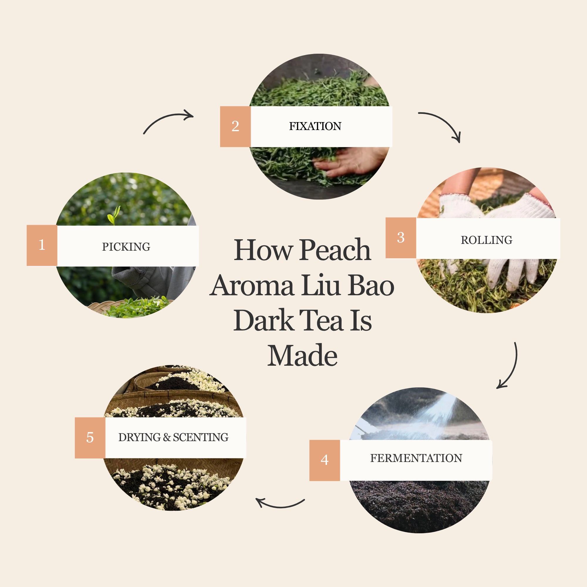 Peach Aroma Liu Bao Dark Tea