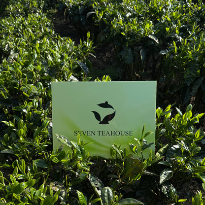 Peach Aroma Liu Bao Dark Tea