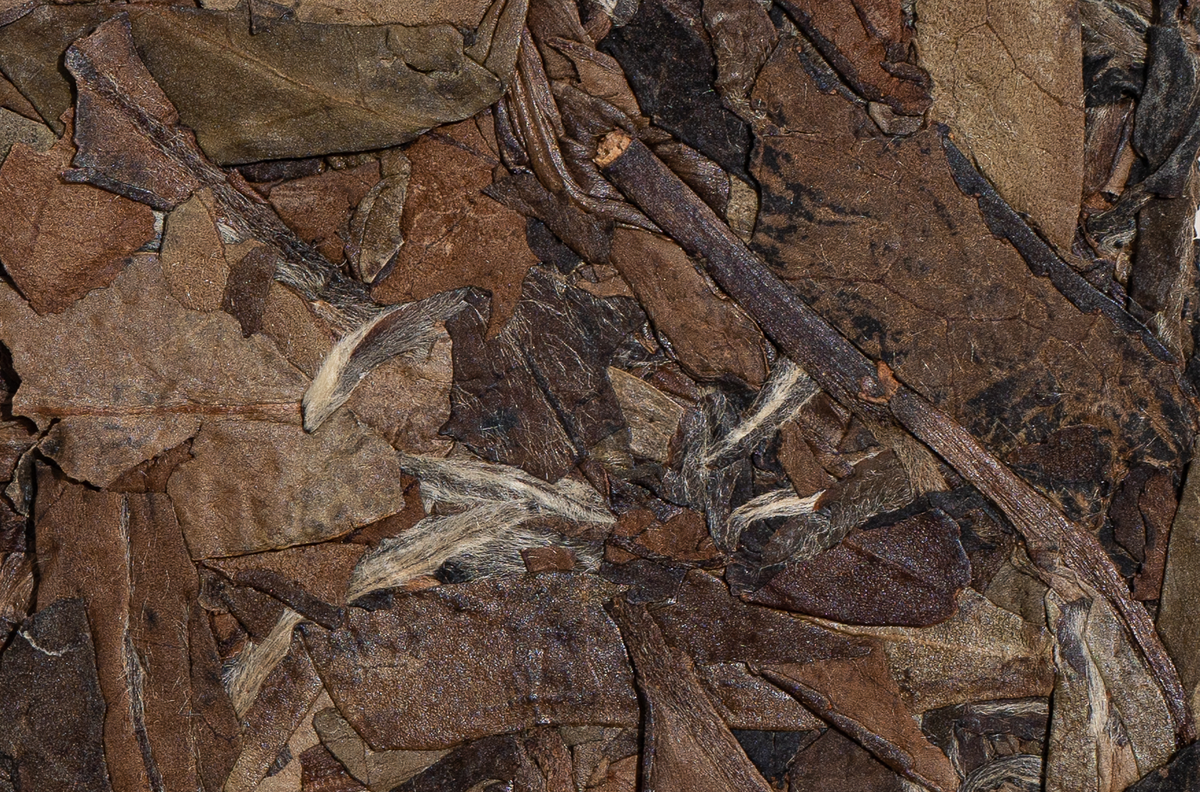 Fresh botanicals